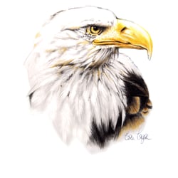 Adler