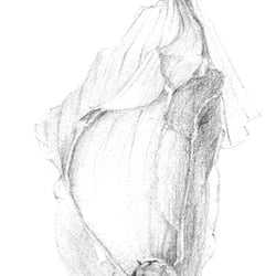 Knoblauch