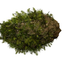 3d environment sim