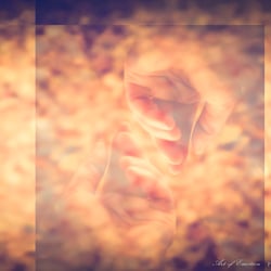 - wortlos -