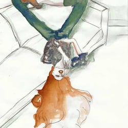 Illustrations and Sketches