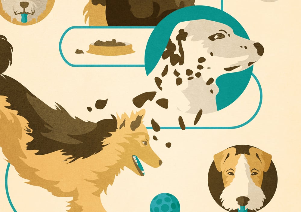 Detail Plakat