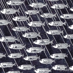 Overfishing I