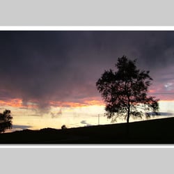 Fotografie-Natur