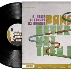 RECORD COVER / FLASH005 BACK