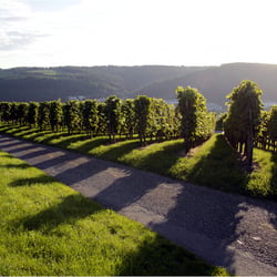 abendlicher Heimweg 1118k