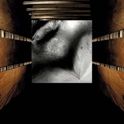 THE BODYBOX. Installation 1998