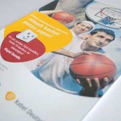 Motiv SAT-Schüssel für Baskettball