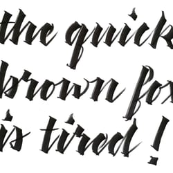 Merle-Michaelis brown-fox-tired