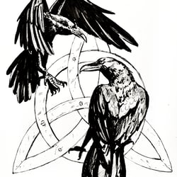 Huginn und Muninn, 30×20cm, fineliner/papier 12.2021
