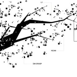 Wissenschaftliche Illustration