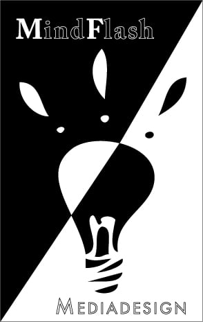 MindFlash Mediadesign