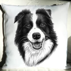 Kissen 40×40 cm „Border Collie Rüde“
