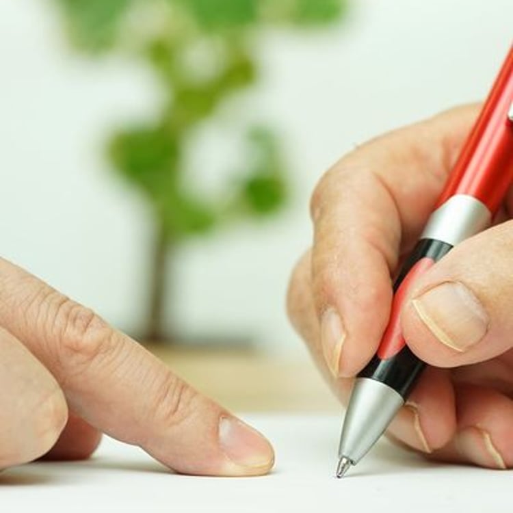 The Legal Practice Solicitors