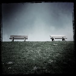 IMG 0941 dasauge