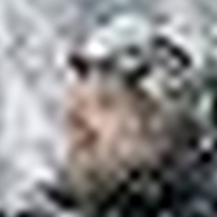 Elmar Strotmann