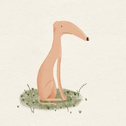Dog with bad mood
