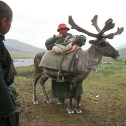 Rentiernomaden im Norden der Mongolei