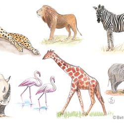 Workshop Drawing Animals