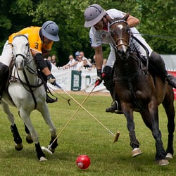 polo bs kl 22