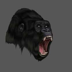 Gorilla-01