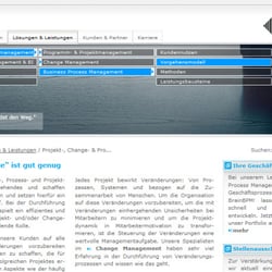 Braincourt – Managementberatung und Informationssysteme (Stuttgart/Düsseldorf)