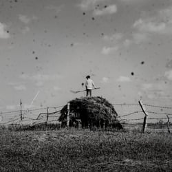 documentary | People