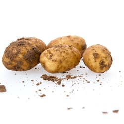 Kartoffeln Biolinda