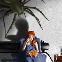 The Spider of Your Imagination
