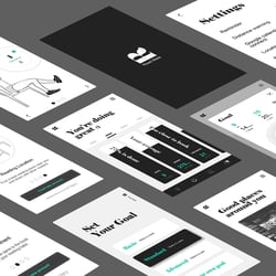 High fidelity design