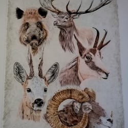 Big 5 Europe