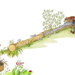 „Schneeweißchen und Rosenrot“ für Kinderleicht Wissen Verlag