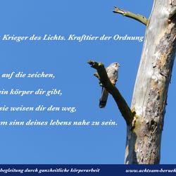 grafik und design round about print und web für www.achtsam-beruehrt-sein.de