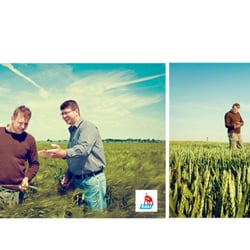www.thisisvermilion.de