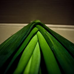 tired leek