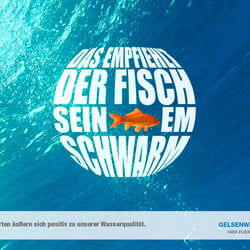 Fisch