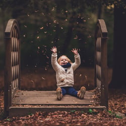 Herbstmomente