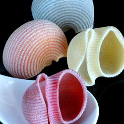 Conchiglie