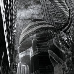 Fifth Avenue