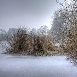 HDR 05