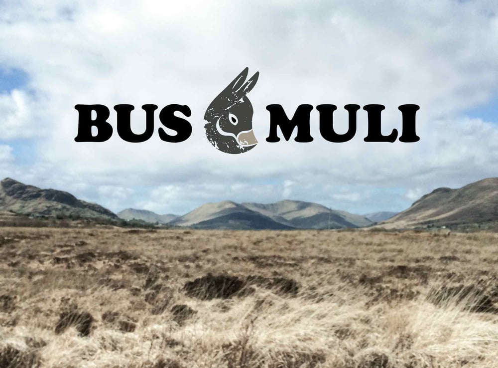 Logodesign für BUSMULI