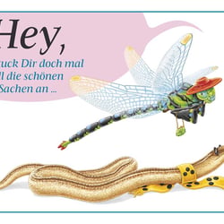 „Die Verführung“
