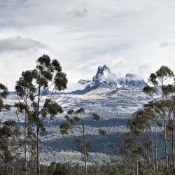 download.lassen.travel50