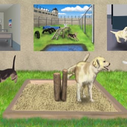 Illustrationen für das Buch: Prison Dogs