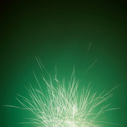 Firework