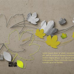 Illustrator, Design und Gestaltung