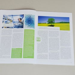 Geschäftsberichte – Chemische Industrie Österreich – 2011/12