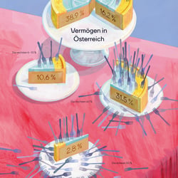 Infografik „Vermögensverteilung in Österreich“ für Moment Institut