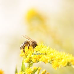 Nature 2014 – Foto Übung