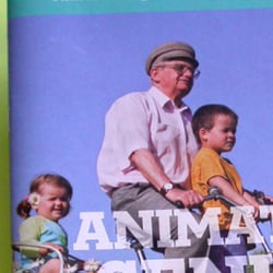 Animations seniors